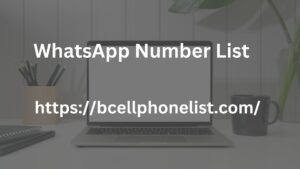 WhatsApp Number List