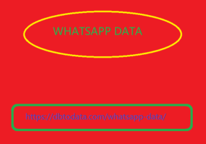 Whatsapp Data 